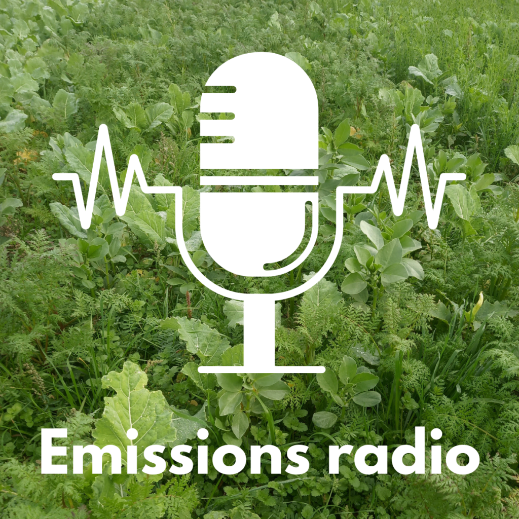 Lien vers l'onglet "Emissions radio"