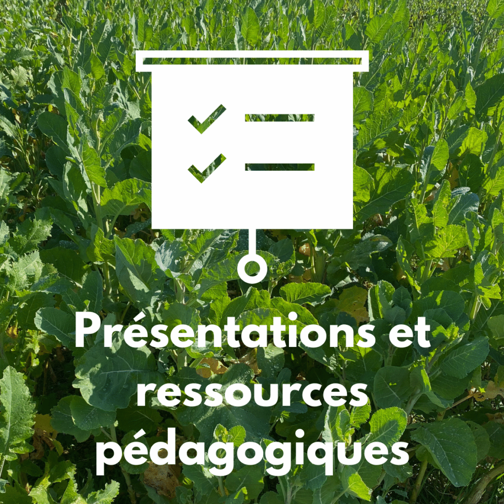 Lien vers l'onglet "Présentations et ressources pédagogiques"